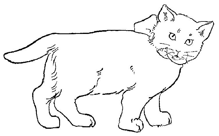 Katten Kleurplaten 