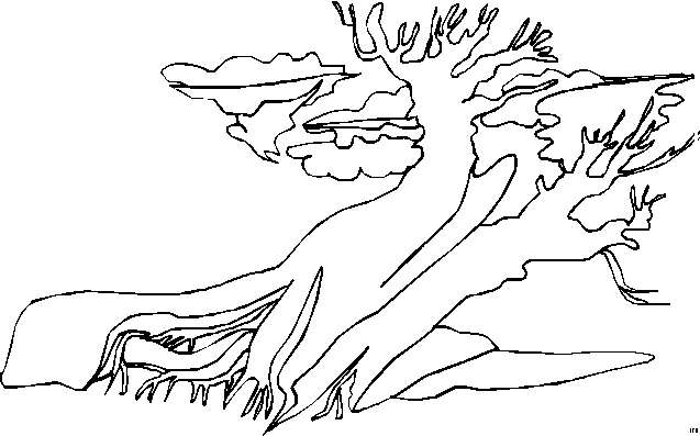 Kleurplaten Landschappen 