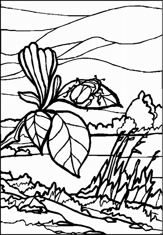 Kleurplaten Landschappen 