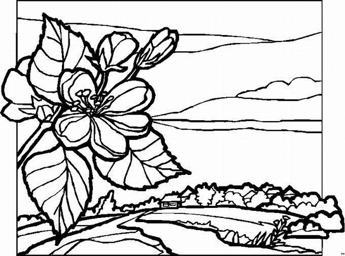 Kleurplaten Landschappen 