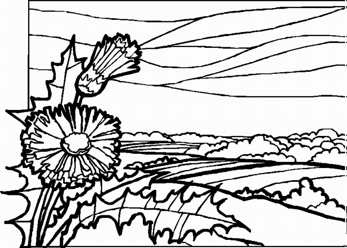 Kleurplaten Landschappen 