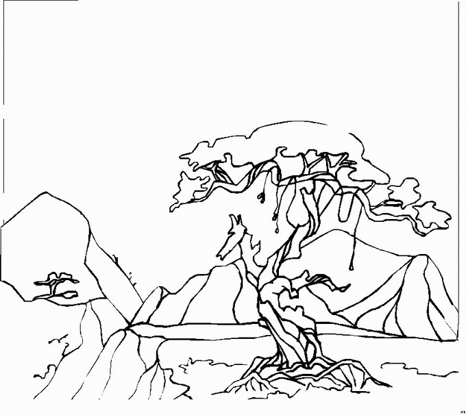 Kleurplaten Landschappen 