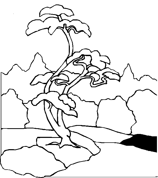Kleurplaten Landschappen 