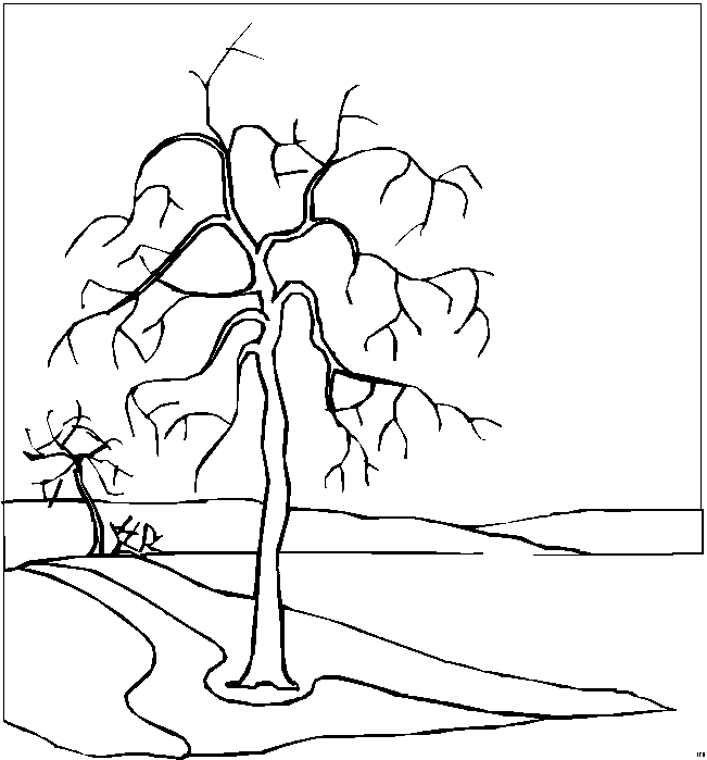 Kleurplaten Landschappen 