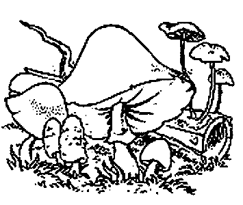 Paddestoelen Kleurplaten 