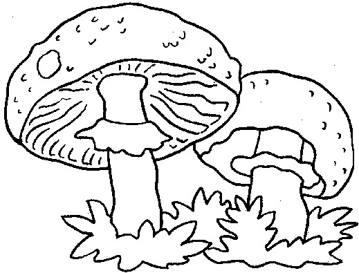 Paddestoelen Kleurplaten 
