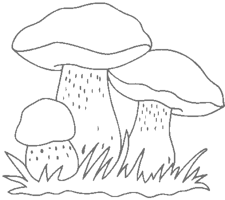 Paddestoelen Kleurplaten 