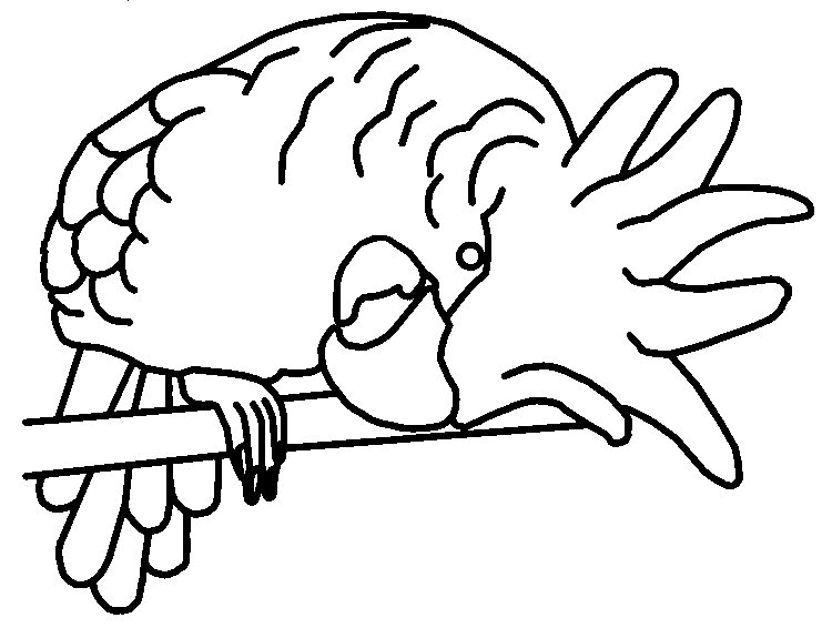 Kleurplaten Papagaai 