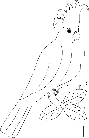 Kleurplaten Papagaai 