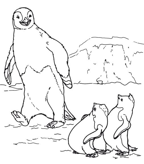 Pinguin Kleurplaten 