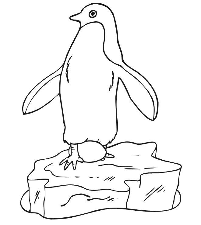 Pinguin Kleurplaten 