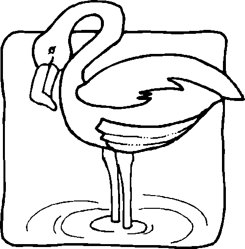 Kleurplaten Vogel 