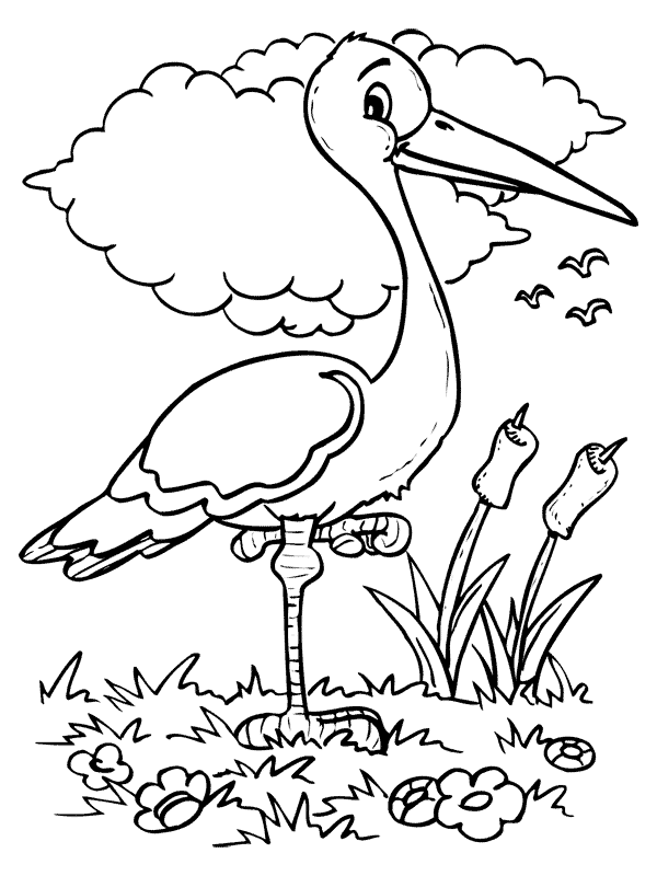 Kleurplaten Vogel 