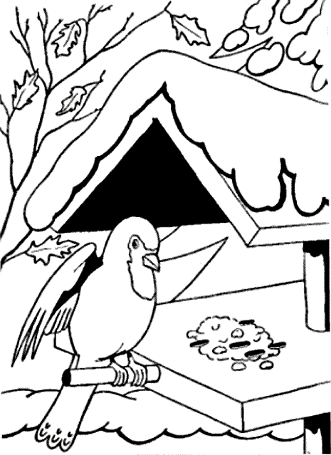 Kleurplaten Vogel 