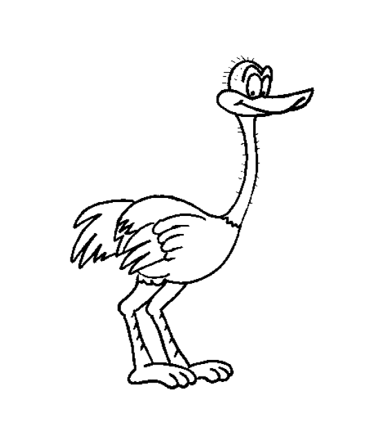 Kleurplaten Vogel 
