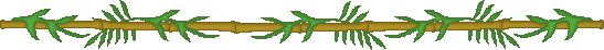 Bladeren Lijnen 