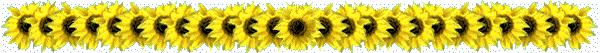 Lijnen Bloemen en natuur 