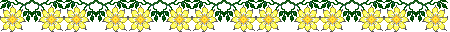 Lijnen Bloemen en natuur 