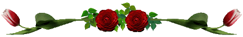 Lijnen Bloemen en natuur 
