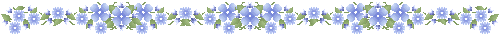 Lijnen Bloemen en natuur 