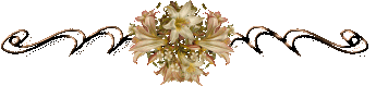 Lijnen Bloemen en natuur 