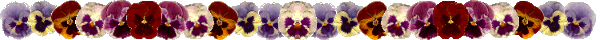 Lijnen Bloemen en natuur 
