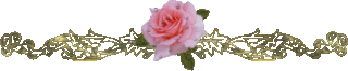 Lijnen Bloemen en natuur 