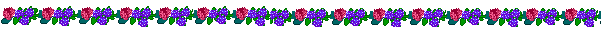 Lijnen Bloemen en natuur 