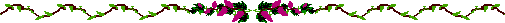 Lijnen Bloemen en natuur 