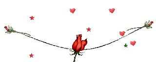Lijnen Bloemen en natuur 
