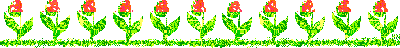 Lijnen Bloemen en natuur 