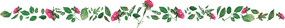 Lijnen Bloemen en natuur 