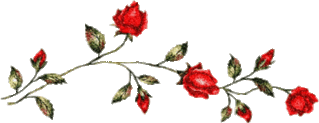 Lijnen Bloemen en natuur 