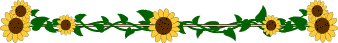 Lijnen Bloemen en natuur 
