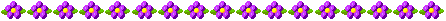 Lijnen Bloemen en natuur 
