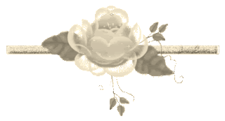 Lijnen Bloemen en natuur 