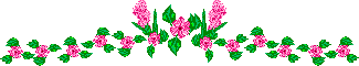 Lijnen Bloemen en natuur 