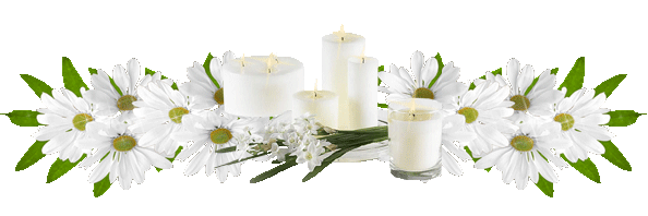 Lijnen Bloemen en natuur 