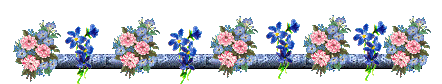Lijnen Bloemen en natuur 