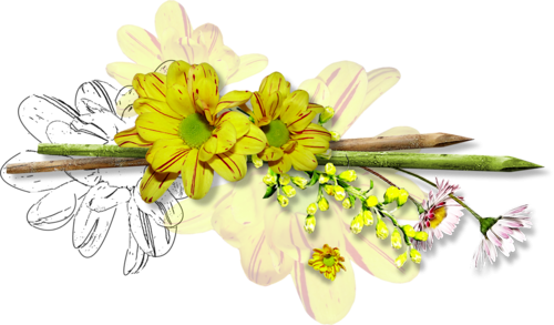 Lijnen Bloemen en natuur 