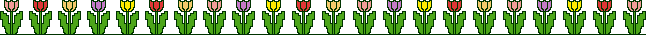 Lijnen Bloemen en natuur 