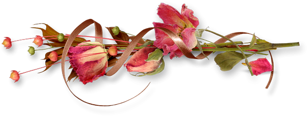 Lijnen Bloemen en natuur 