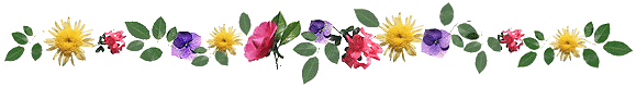 Lijnen Bloemen en natuur 