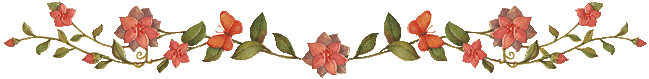 Lijnen Bloemen en natuur 