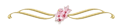 Lijnen Bloemen en natuur 