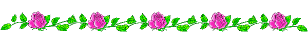 Lijnen Bloemen en natuur 
