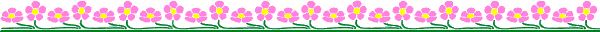 Lijnen Bloemen en natuur 