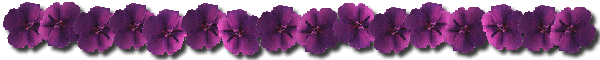 Lijnen Bloemen en natuur 