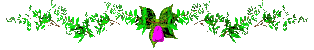 Lijnen Bloemen en natuur 