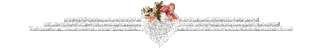Lijnen Bloemen en natuur 